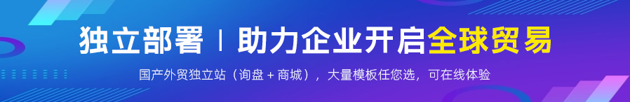 外贸独立站
